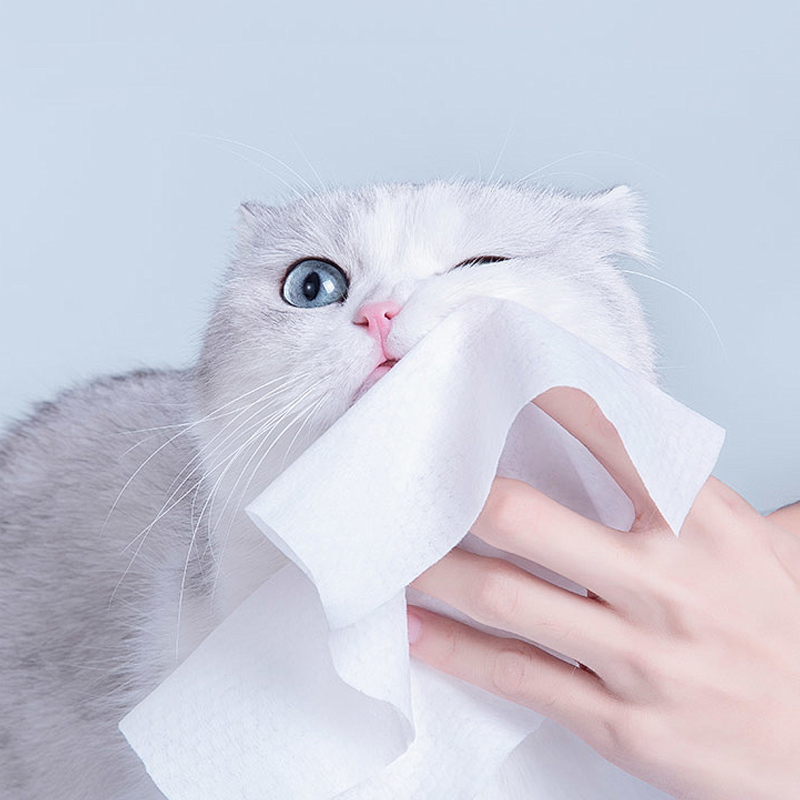 Non-woven Fabric for Pet